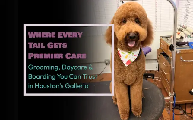 The Dog House Pet Salon - Galleria in Houston, TX
