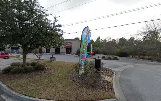 Top Dog Grooming Spa in Rincon, GA