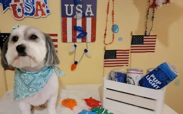 Mama Love's Dog Grooming & boarding in Cantonment, FL