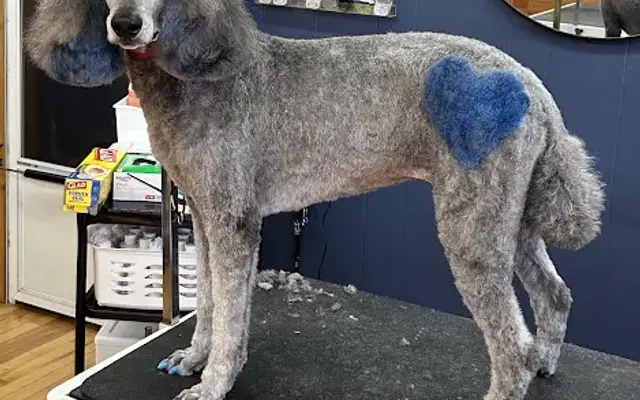 Kasey's Country Cuts in Minnesota Lake, MN