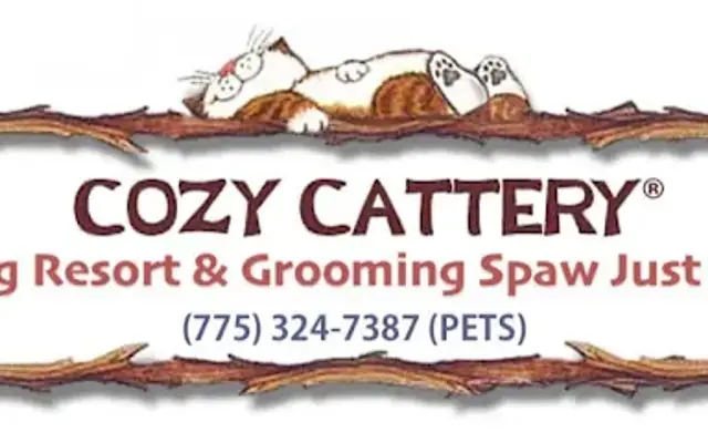 Cozy Cattery Cat Boarding & Cat Grooming Spaw Just for Cats! in Reno, NV
