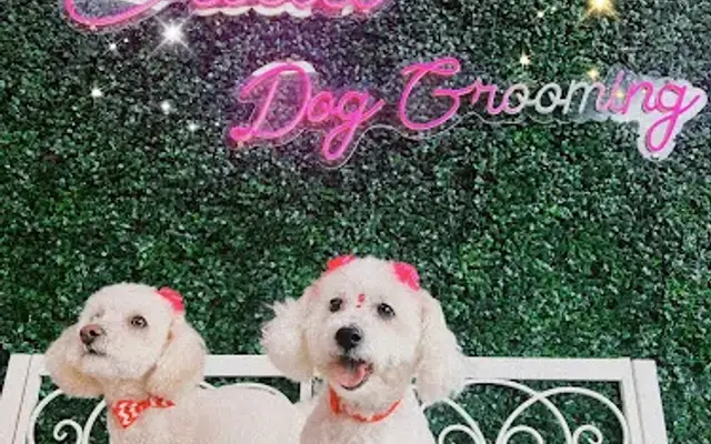 Guau dog grooming in Chicago, IL