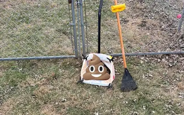 TidyTailsSTL in Chesterfield, MO