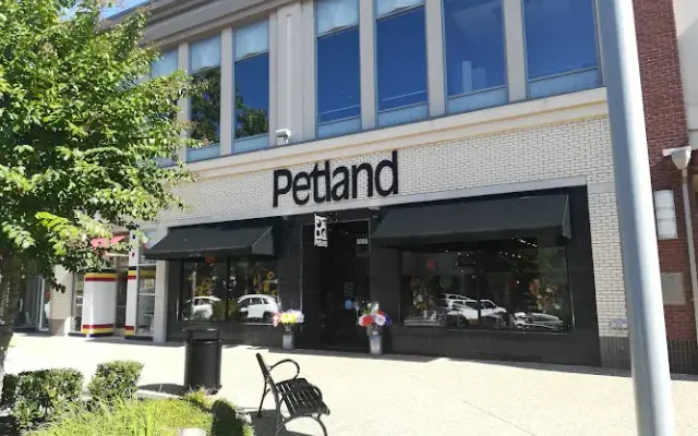 Petland Rogers in Rogers, AR