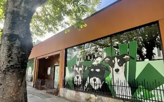Seattle Canine Club - South Lake Union in Seattle, WA