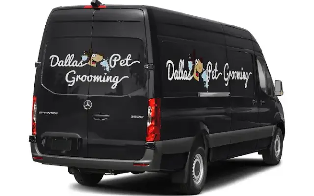 Dallas Pet Grooming in Dallas, TX