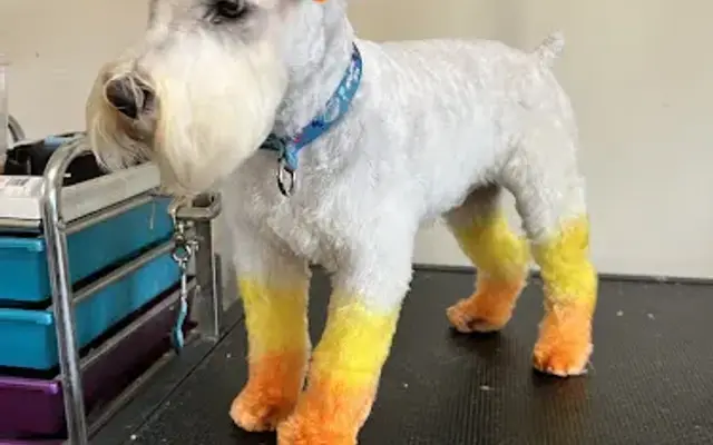 Unicorn Grooming Co in Bristol, IN