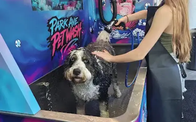 Park Avenue Pet Wash in Portland, OR