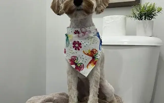 PetSmart Grooming in Smyrna, TN