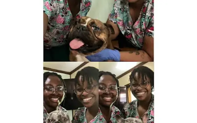 Pawsitively Purrfect N’ All Pet Care and Transport Services LLC in Atlanta, GA