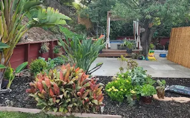 Wodin's Kennel in San Jose, CA