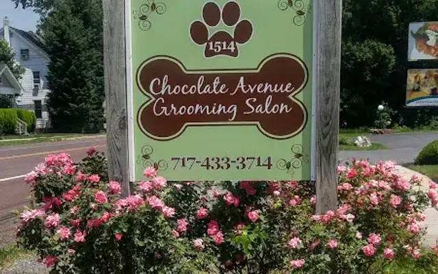 Chocolate Avenue Grooming Salon in Hershey, PA
