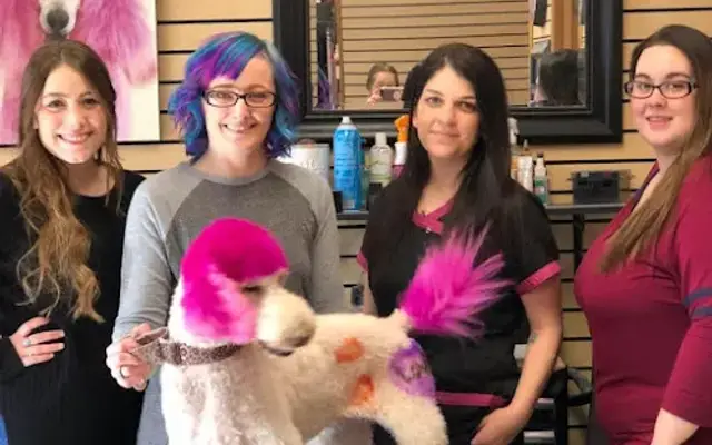 The Pink Poodle Grooming Salon LLC in The Dalles, OR