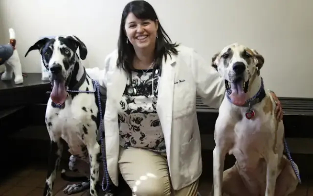 Glenwood Village Pet Hospital in Glenwood, IL
