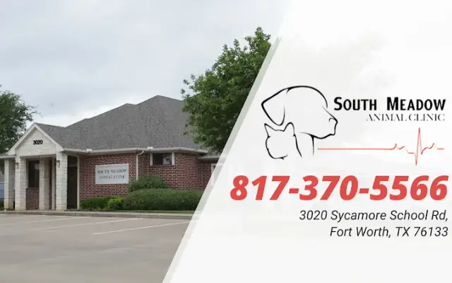 South Meadow Animal Clinic in Fort Worth, TX