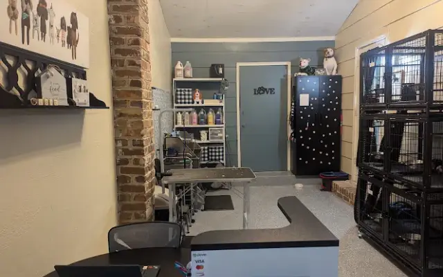 Wash & Wag Grooms by Morgan in Forest Park, GA