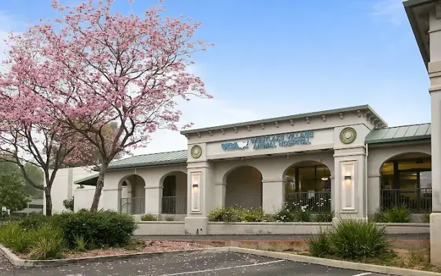 VCA Westlake Village Animal Hospital in Westlake Village, CA