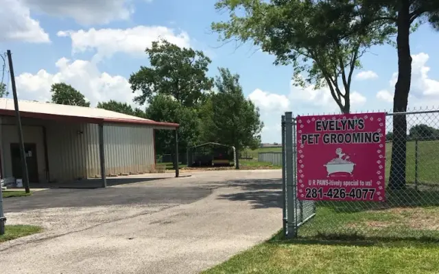 Evelyn's Pet Grooming in Highlands, TX