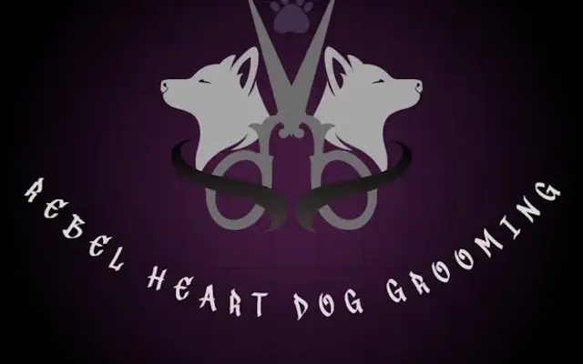 Rebel heart dog grooming in Kalispell, MT
