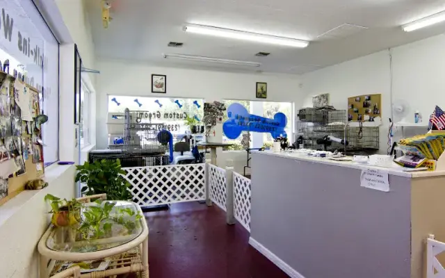 Custom Grooming in Naples, FL