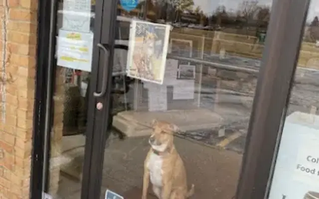 Pet Supplies Plus Howell in Howell, MI