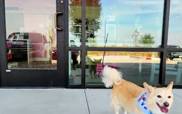 Woof Gang Bakery & Grooming Elyson in Katy, TX