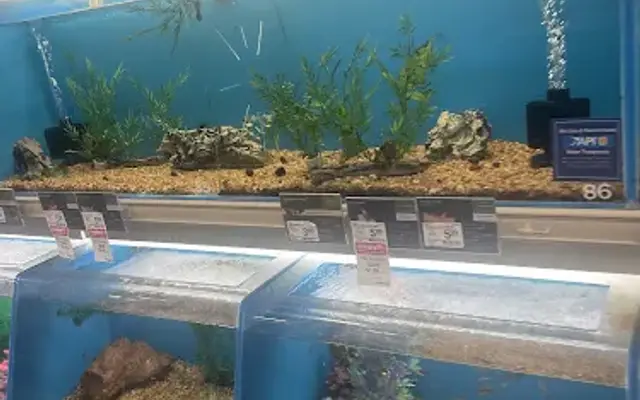 PetSmart Grooming in Dallas, TX