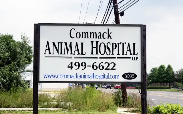 Commack Animal Hospital in Huntington, NY