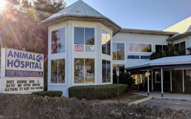 Animal Hospital of Pensacola in Pensacola, FL