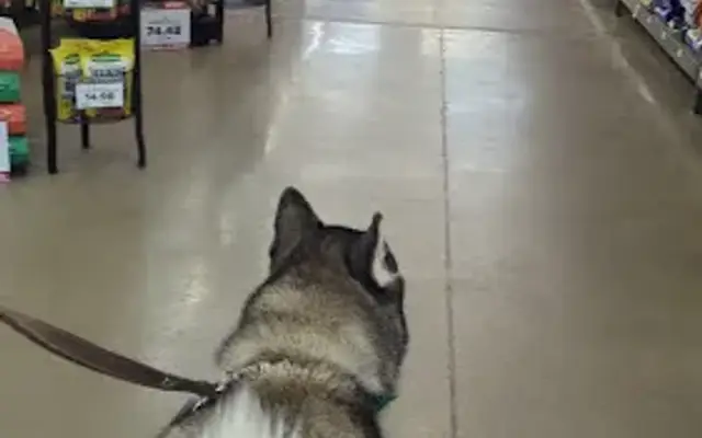 Pet Supplies Plus Vadnais Heights in Vadnais Heights, MN