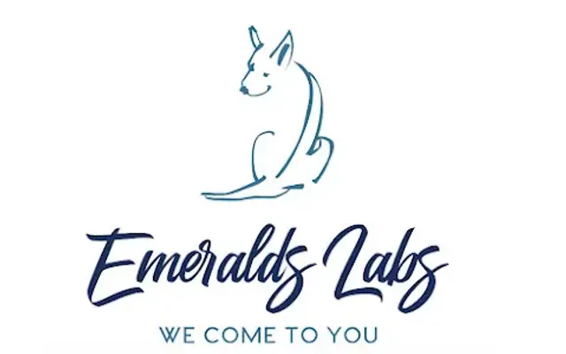 Emeralds Labs Breeding & Pet Services “Grooming At Your Front Door!” in Goodlettsville, TN