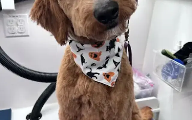 Woofie’s® of Barrington-Northwest in Barrington, IL