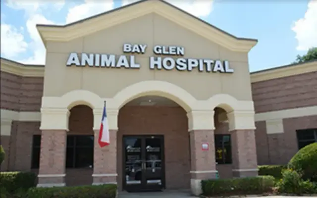 Bay Glen Animal Hospital in Houston, TX