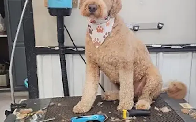 Three Doods in Broussard, LA