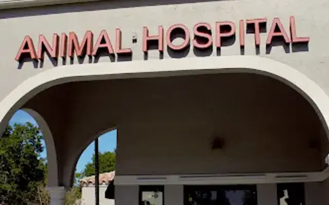 PAWS Veterinary Center in Plantation, FL