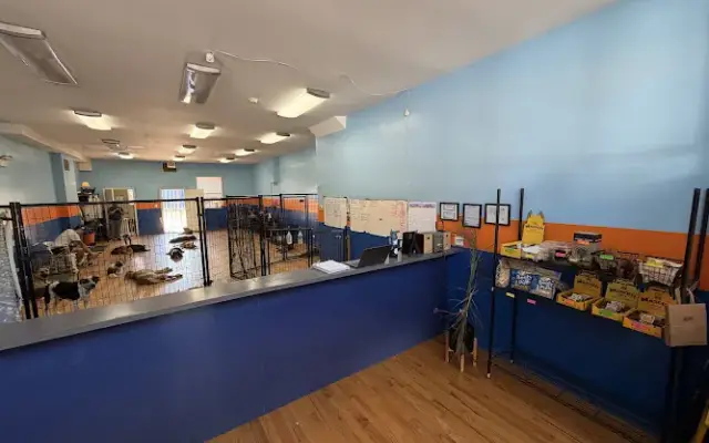 All Star Pet Care Inc in Chicago, IL