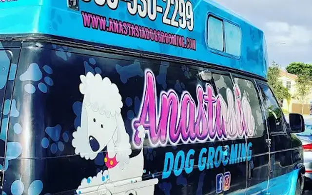 Anastasia Dog Grooming in Doral, FL