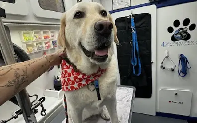 4 Paw Professionals LLC. in Mililani, HI