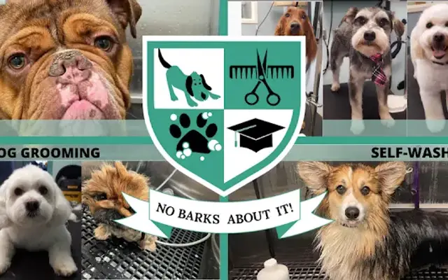 No Barks About It in Lansing, NY
