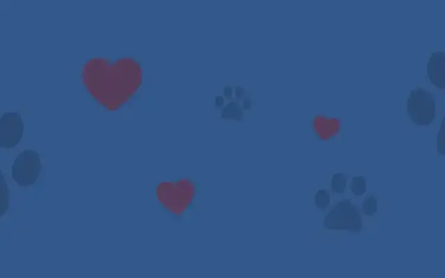 Chesapeake Pet Care Co. in Abingdon, MD