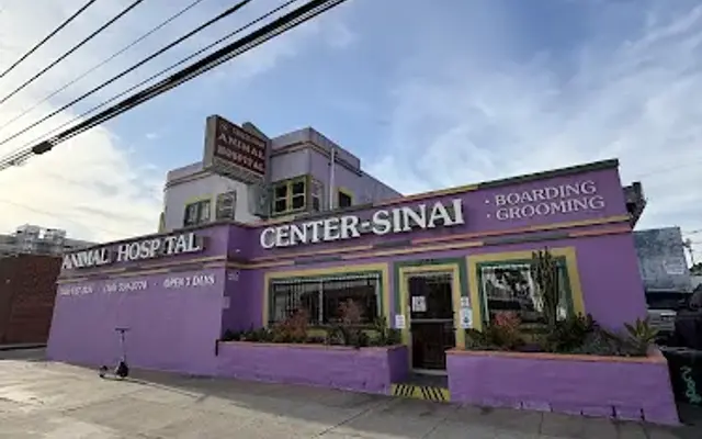 Grooming at Center Sinai Animal Hospital in Los Angeles, CA