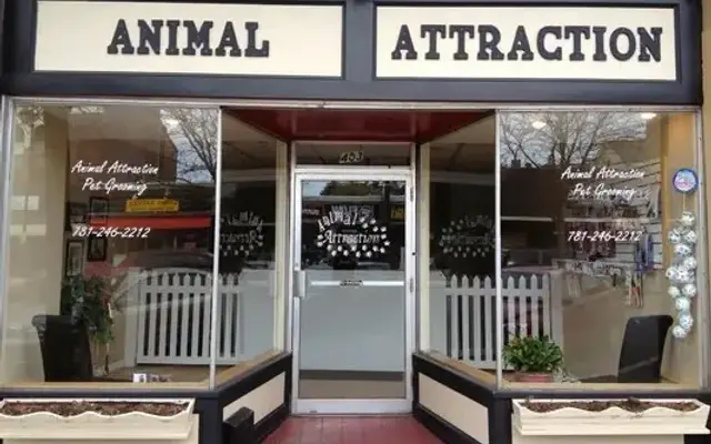 Animal Attraction in Wakefield, MA