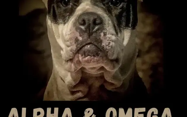 Alpha-Omega Mobile Pet Grooming in Mansfield, TX