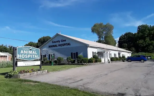County Line Animal Hospital in Ontario, NY