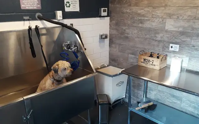 Everclean Pet Wash in Bartlett, IL