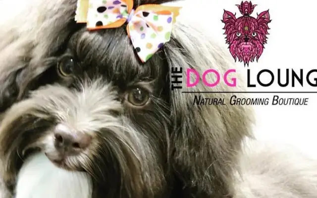 The Dog Lounge Natural Mobile Grooming Spaw in Fort Lauderdale, FL