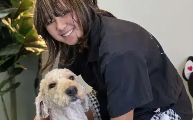 Bark and Shine Dog Salon in Burlington, NC