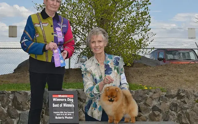 Pampered Pooch Breeding & Grooming in Poulsbo, WA
