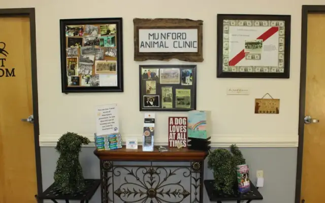 Munford Animal Hospital LLC in Munford, TN