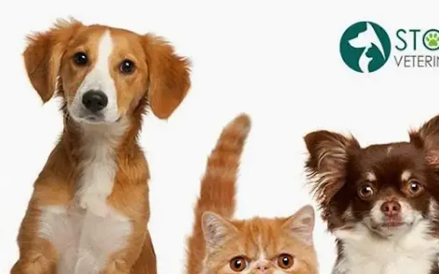 Stoneback Veterinary Associates in Oxford, PA